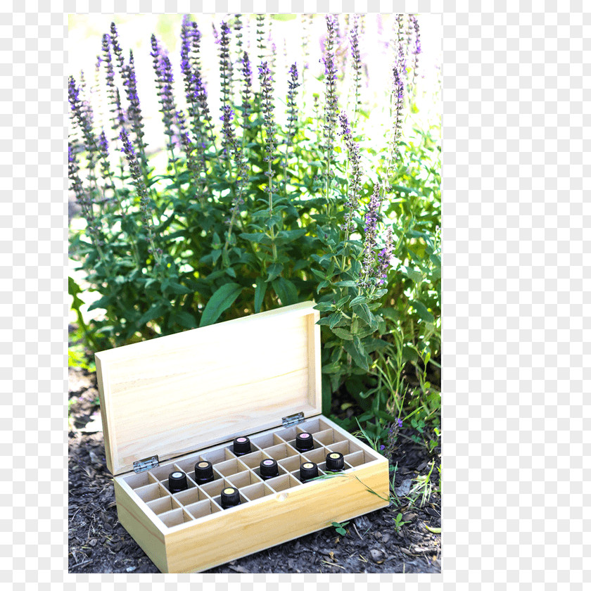 Wooden Box Essential Oil Lavender Rocky Mountain Oils PNG