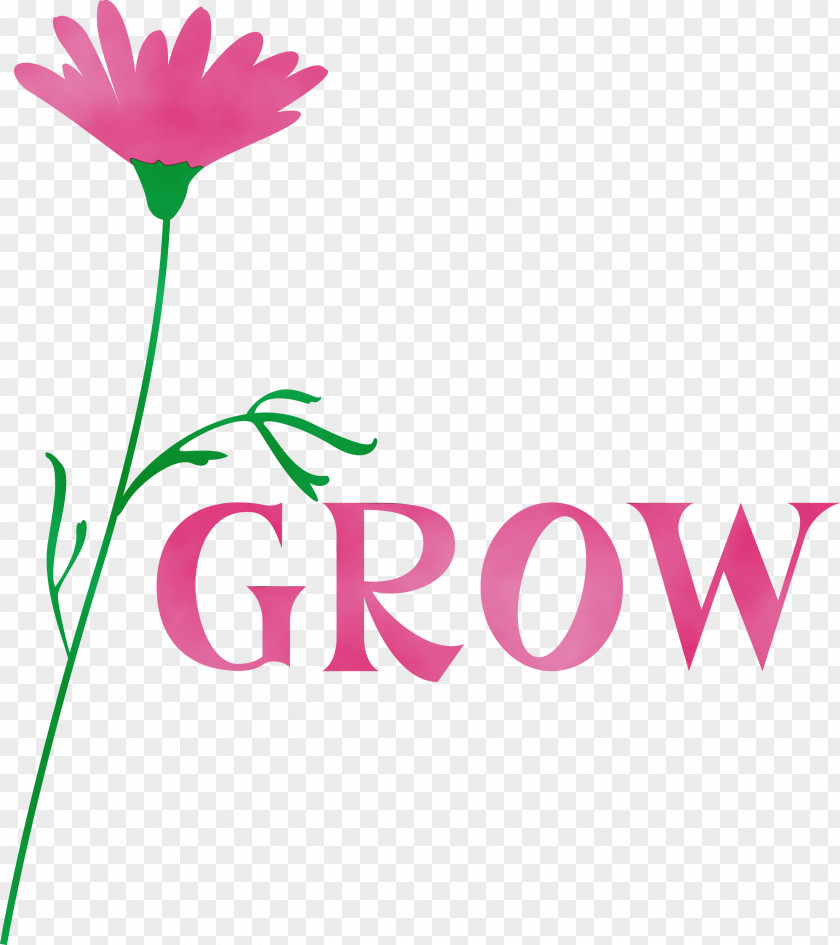 Floral Design PNG