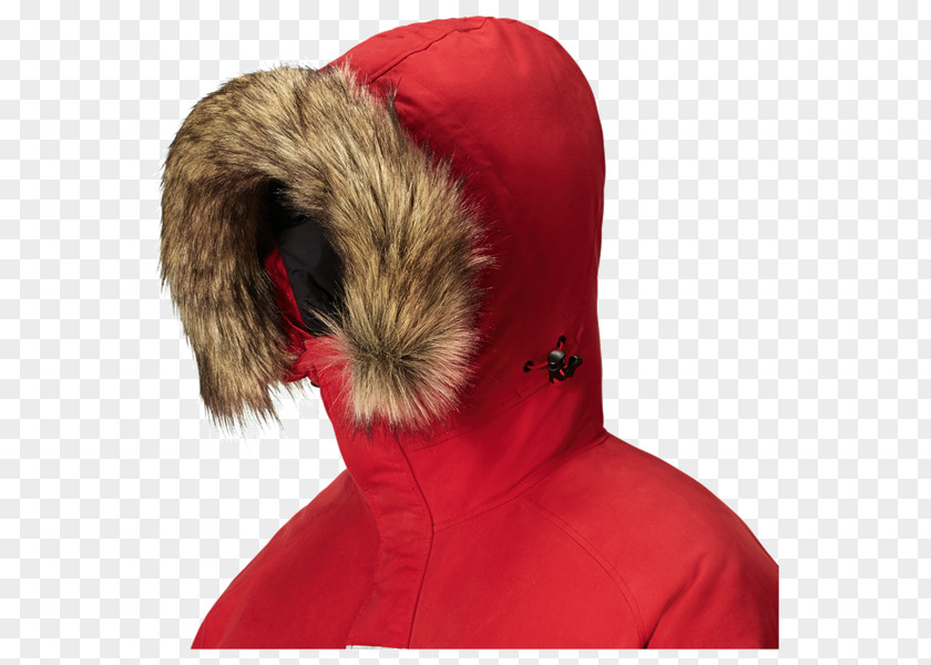 Fur Neck PNG