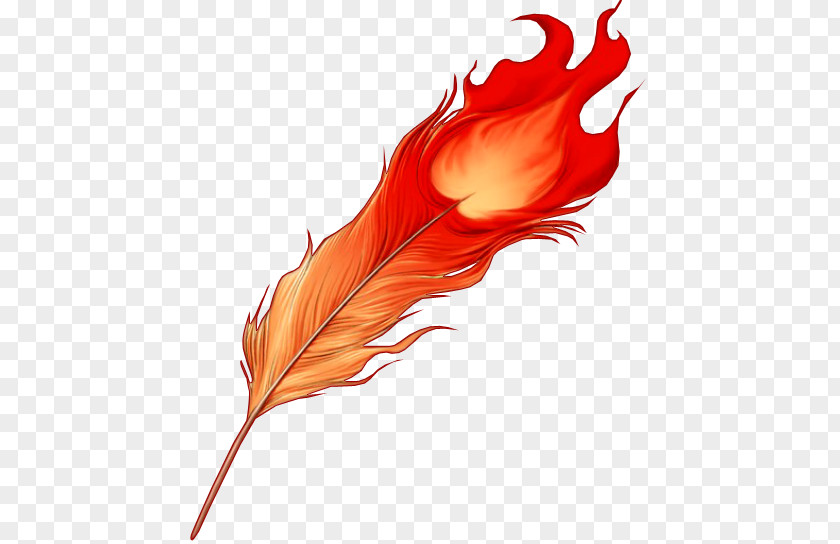 Phoenix Feather Bird Color Clip Art PNG