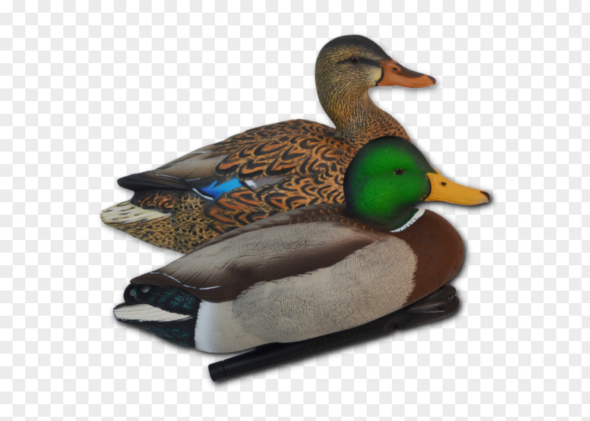 Snow Goose Mallard Duck Decoy Waterfowl Hunting PNG