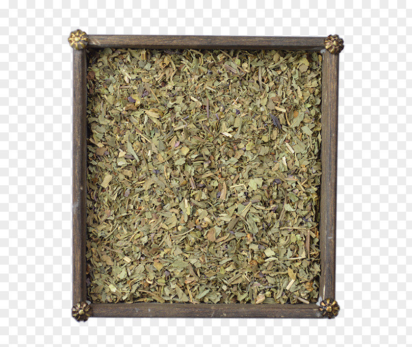Spice Rosemary Coriander Flat-leaved Vanilla Herb PNG