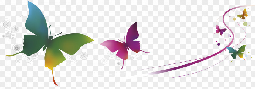 Flying Butterfly Banner PNG