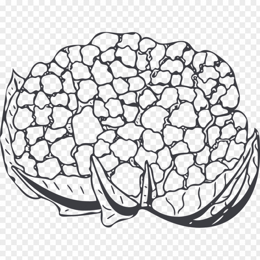 Hand-painted Cauliflower Broccoli Vegetable PNG