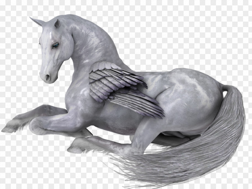 Pegasus Horse Cartoon PNG