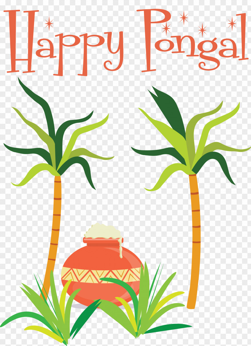 Pongal Thai Pongal Harvest Festival PNG