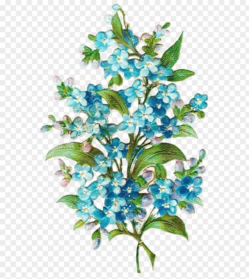 Vintage Floral Botanical Border Flowers Blue Paper PNG