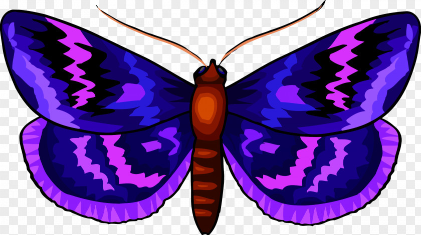 Butter Butterfly Insect Clip Art PNG