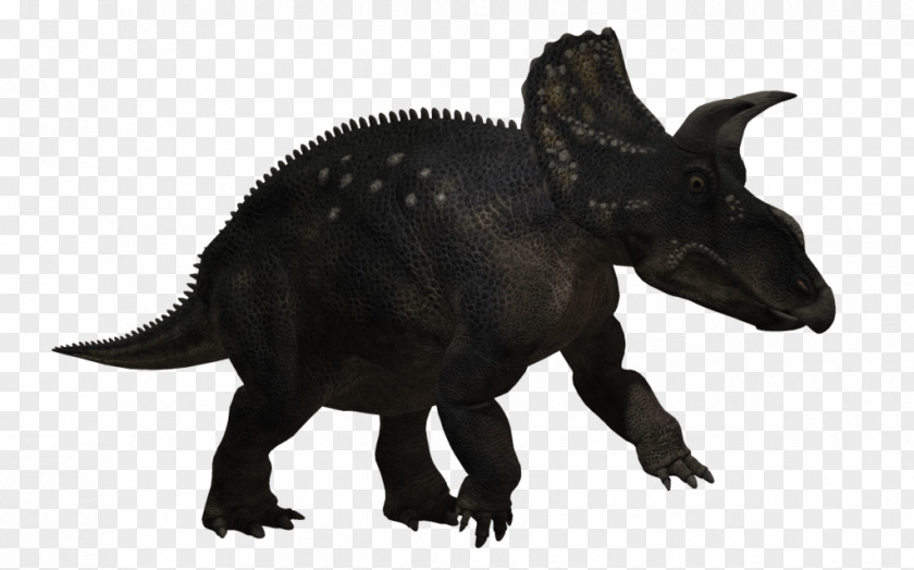 Dinosaur Triceratops Rhinoceros Tyrannosaurus Rex Animal PNG