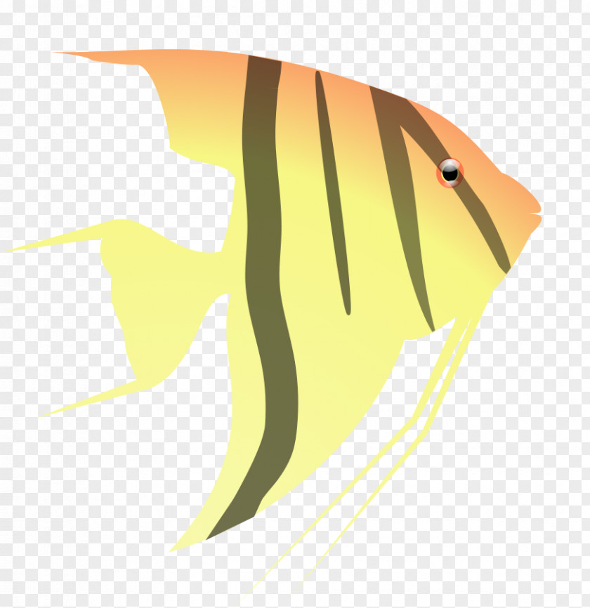 Free Fish Pictures Angelfish Clip Art PNG