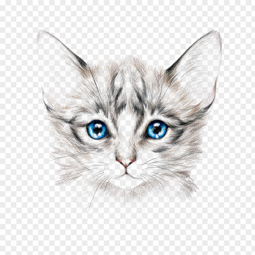 Painted Cat Royalty-free Drawing Painting Art PNG