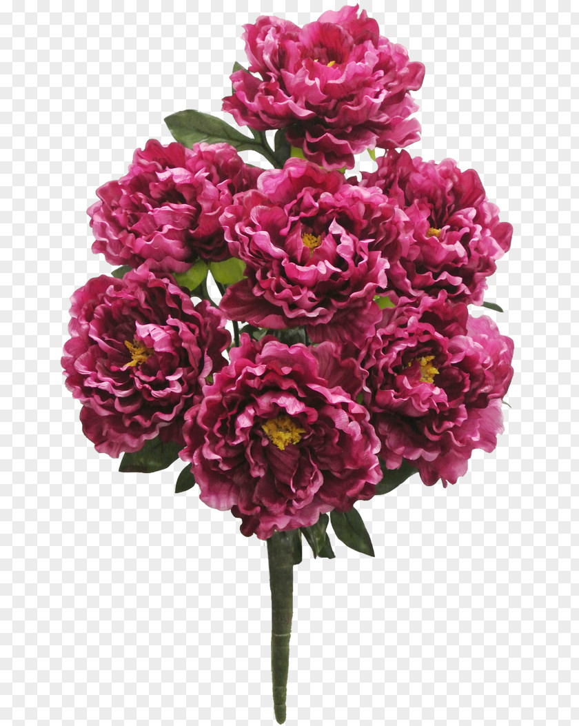 Peonies Flower Bouquet Valentine's Day Floristry Floral Design PNG