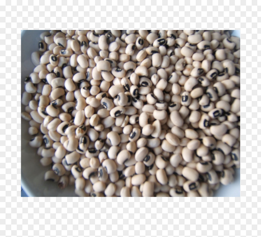 Africa Agriculture Seed Common Bean Black-eyed Pea PNG