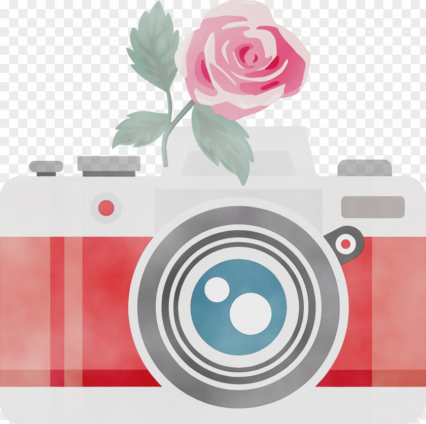 Rose PNG