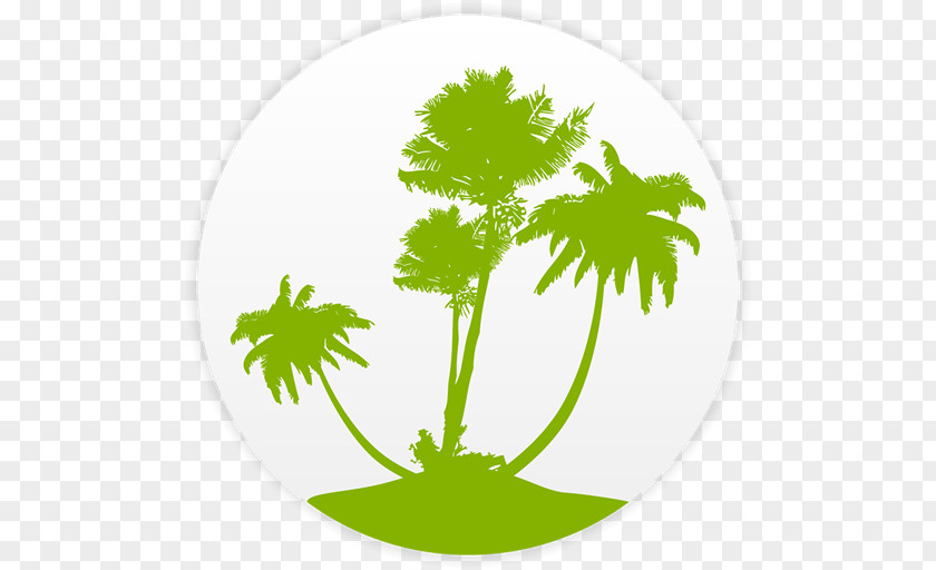 Silhouette Arecaceae PNG