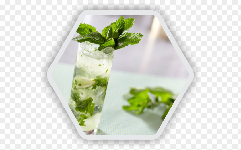 Mojito Gin And Tonic Cocktail Rum PNG