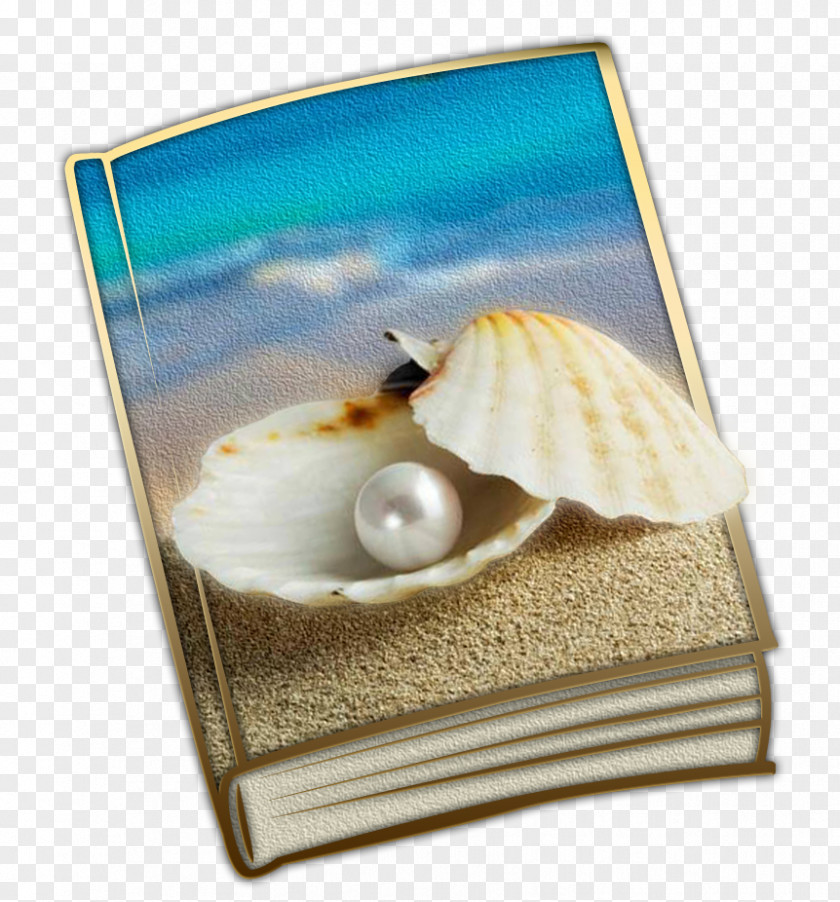 Seashell Paperback Pearl Book PNG