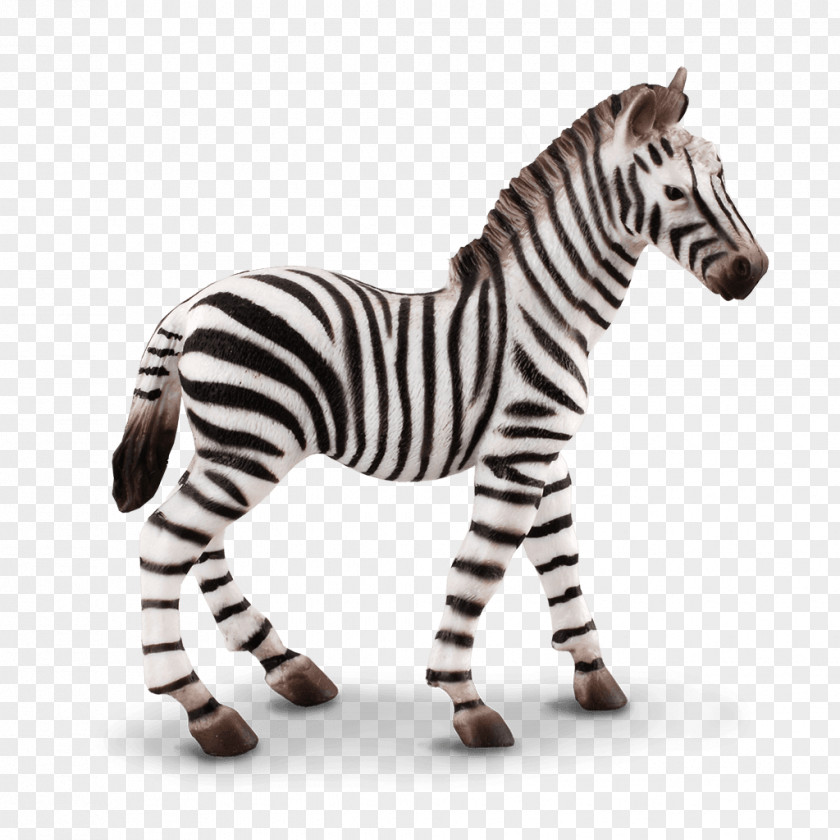 Toy Collecta Small Zebra Foal Figure Action & Figures Schleich PVC 14393 Loose Used PNG