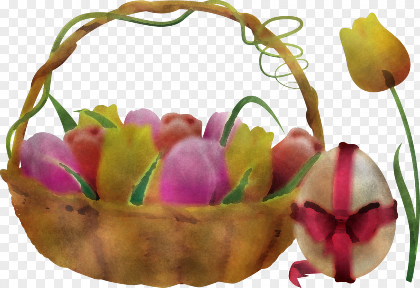 Tulip Easter Flower Plant Petal PNG