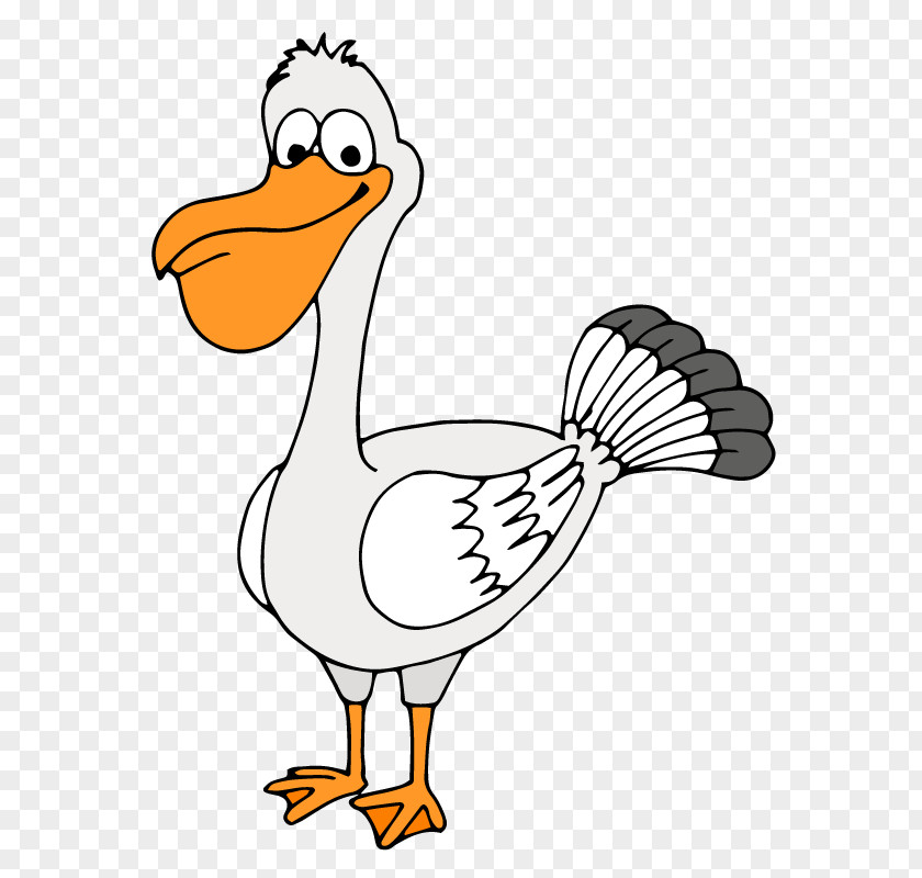 Yellow Bird Mouth Chicken Common Ostrich Clip Art PNG