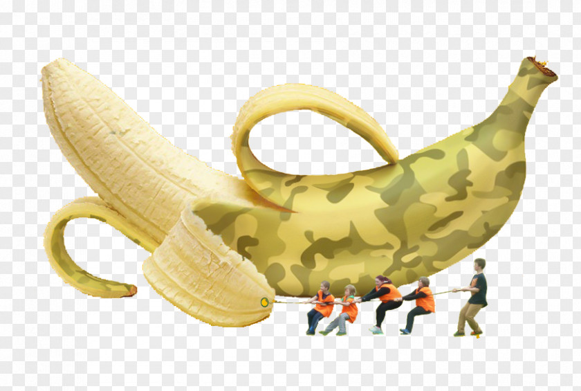 Creative Banana Camouflage Creativity Clip Art PNG