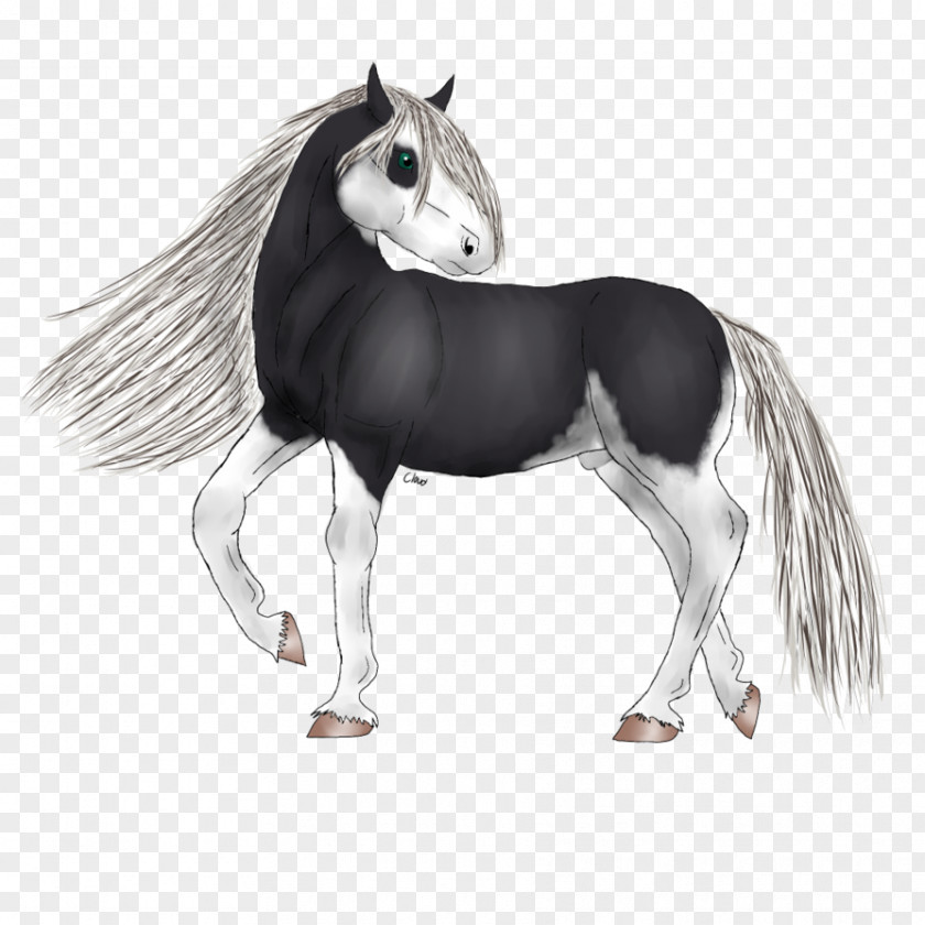 Friesian Horse Mane Pony Mustang Cat Stallion PNG