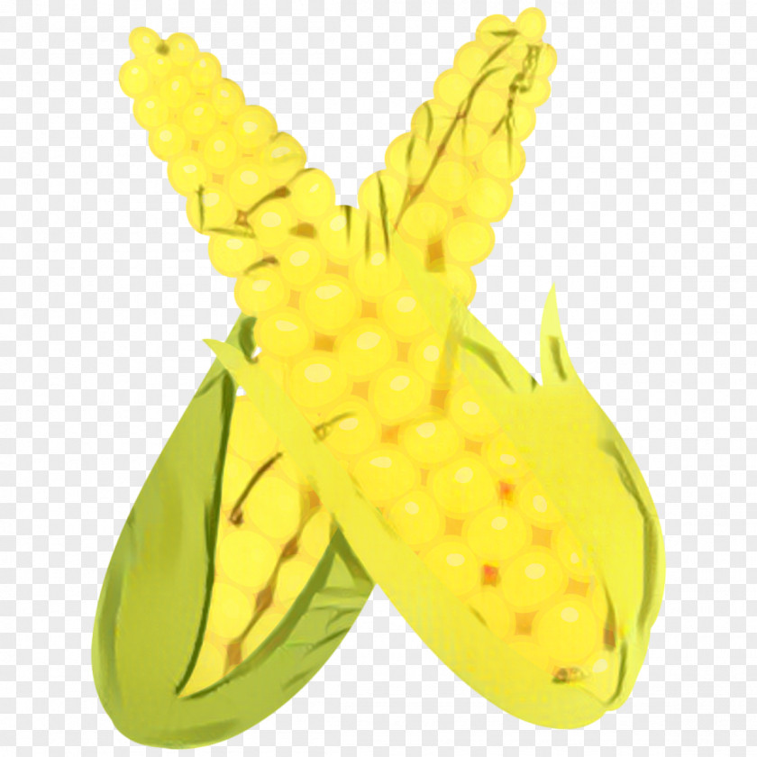Fruit Plant Banana Cartoon PNG