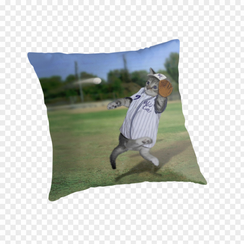 Baseball Catcher Kitten Golf Balls Pillow PNG