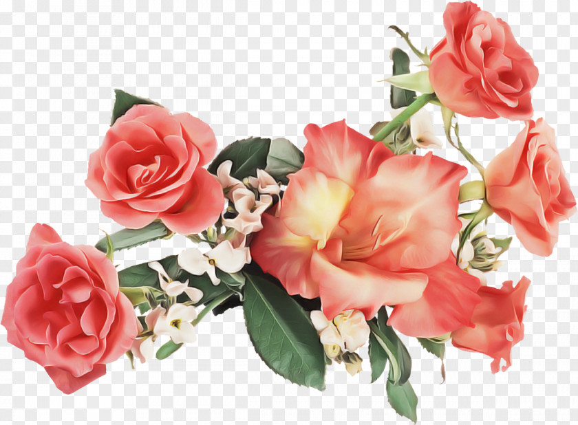 Cut Flowers Rose Family Garden Roses PNG