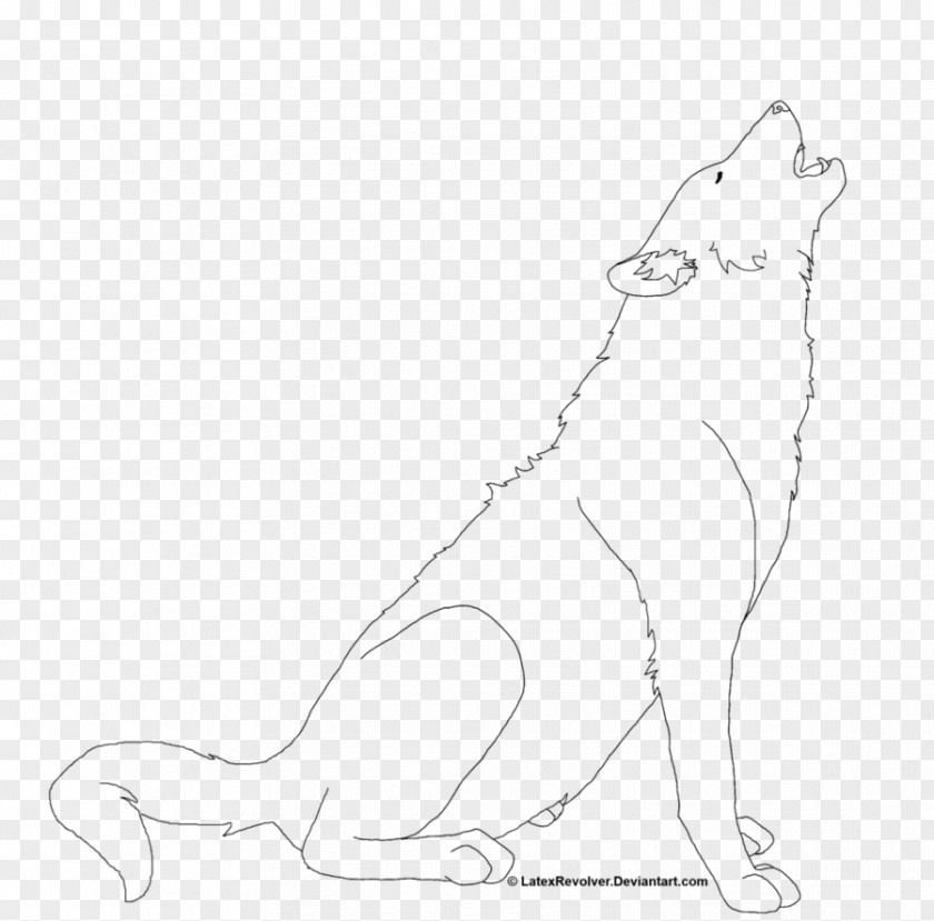 Lineart Cat Drawing Mammal Dog Whiskers PNG