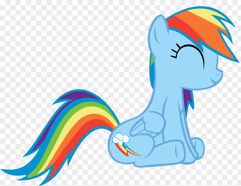 Rainbow Dash Rarity Twilight Sparkle Pony Derpy Hooves PNG