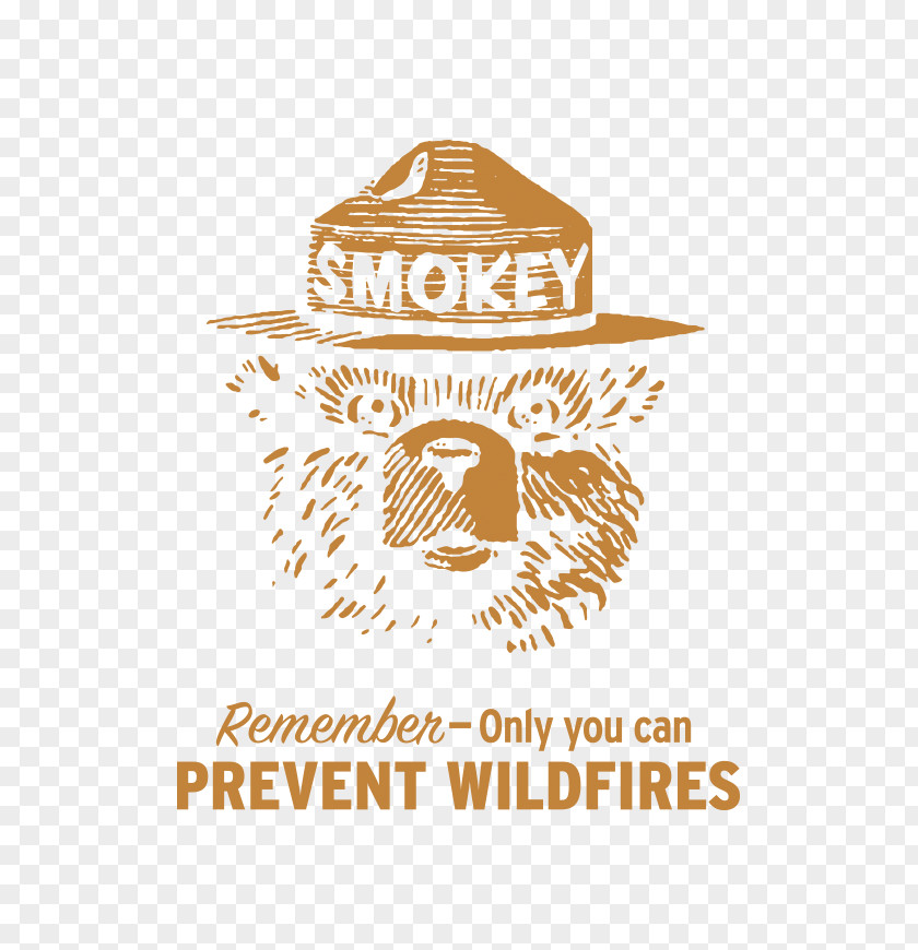 Bear Smokey Advertising Campaign United States Forest Service PNG
