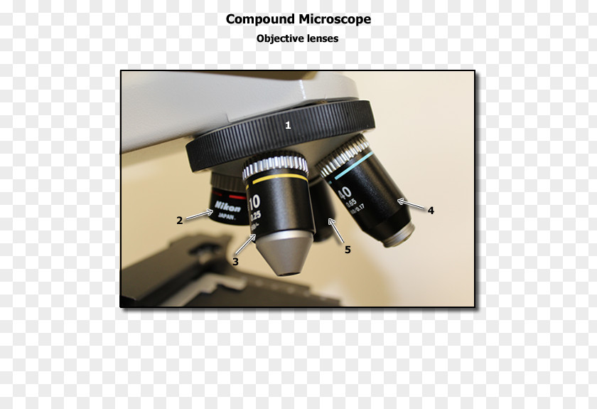Camera Lens Teleconverter Optical Instrument Scientific PNG