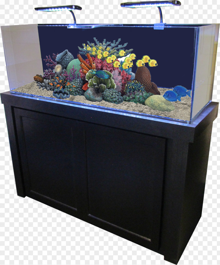 Fish Tank Reef Aquarium Gallon Filters Aquariums PNG