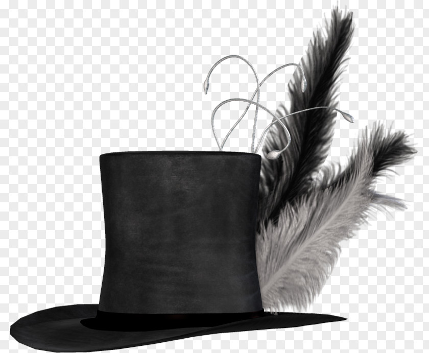 Hat Feather PNG