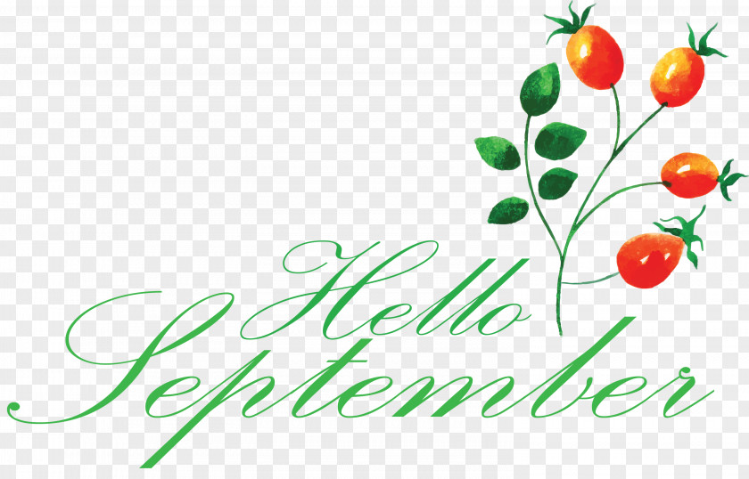 Hello September PNG