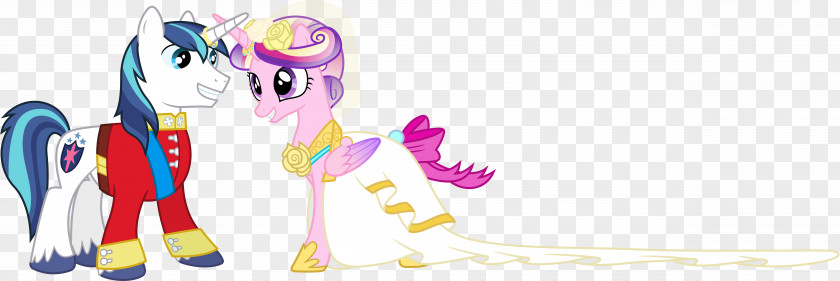 Horse Pony Princess Cadance Cartoon PNG