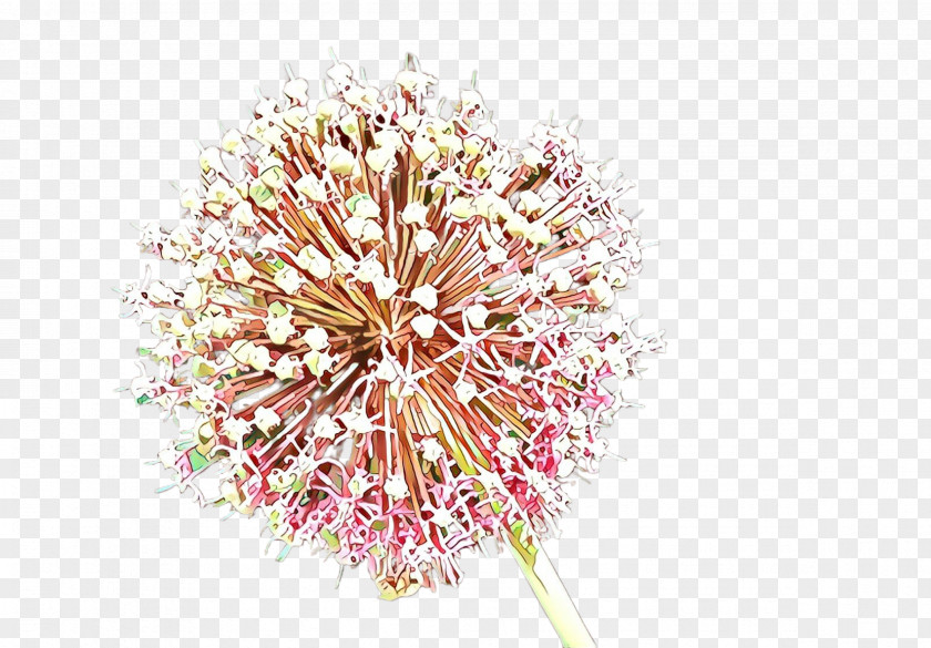 Pink Flower Plant Cut Flowers Allium PNG