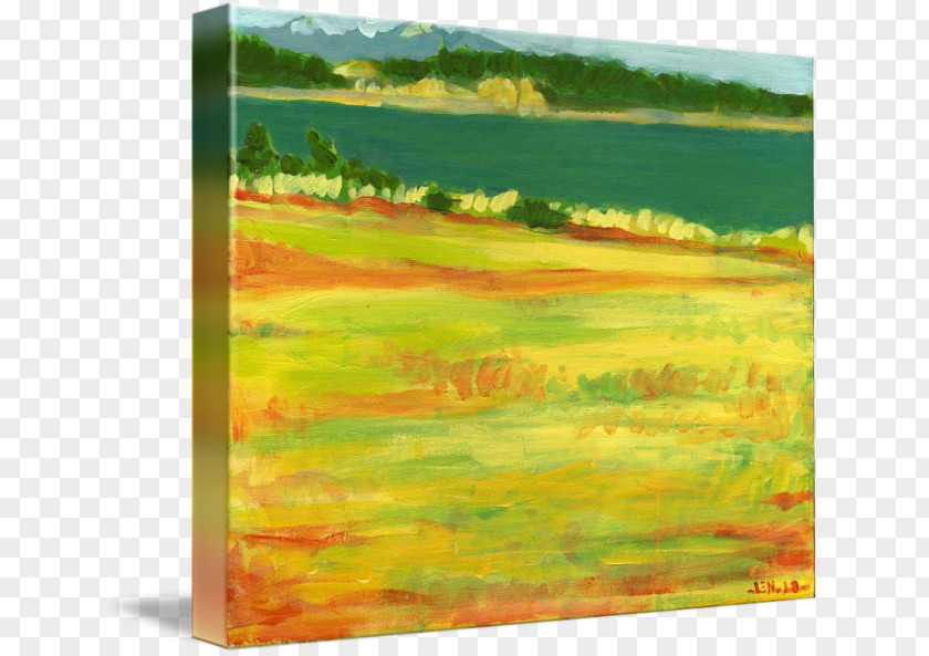 Summer Hot Watercolor Painting Acrylic Paint Landscape PNG