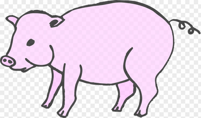 Terrestrial Animal Pink Line Art Snout Clip Figure Cartoon PNG