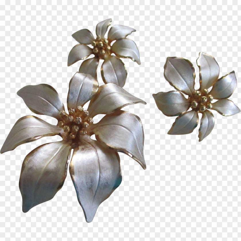 White Christmas Cut Flowers Body Jewellery Petal PNG