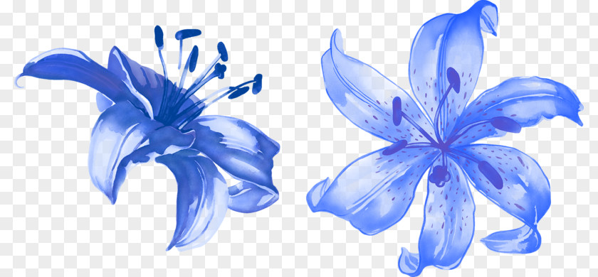 Blue Lily Flower Render Lilium PNG