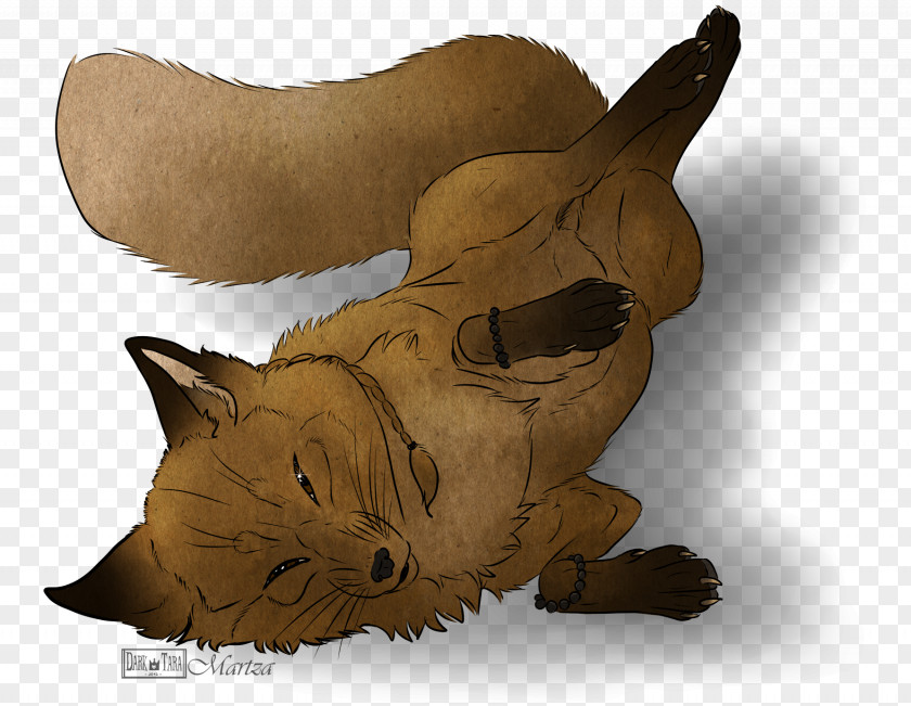 Cat Whiskers Dog Snout Paw PNG