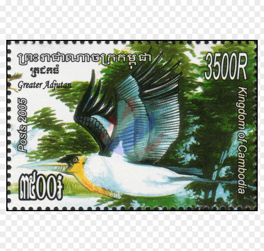 Feather Beak Postage Stamps Advertising Fauna PNG