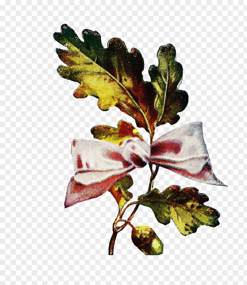 Flower Leaf Plant Branch Tree PNG