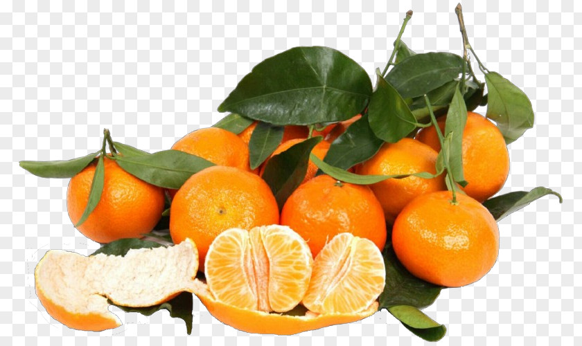 Tangelo Natural Foods Citrus Tangerine Mandarin Orange Fruit Clementine PNG