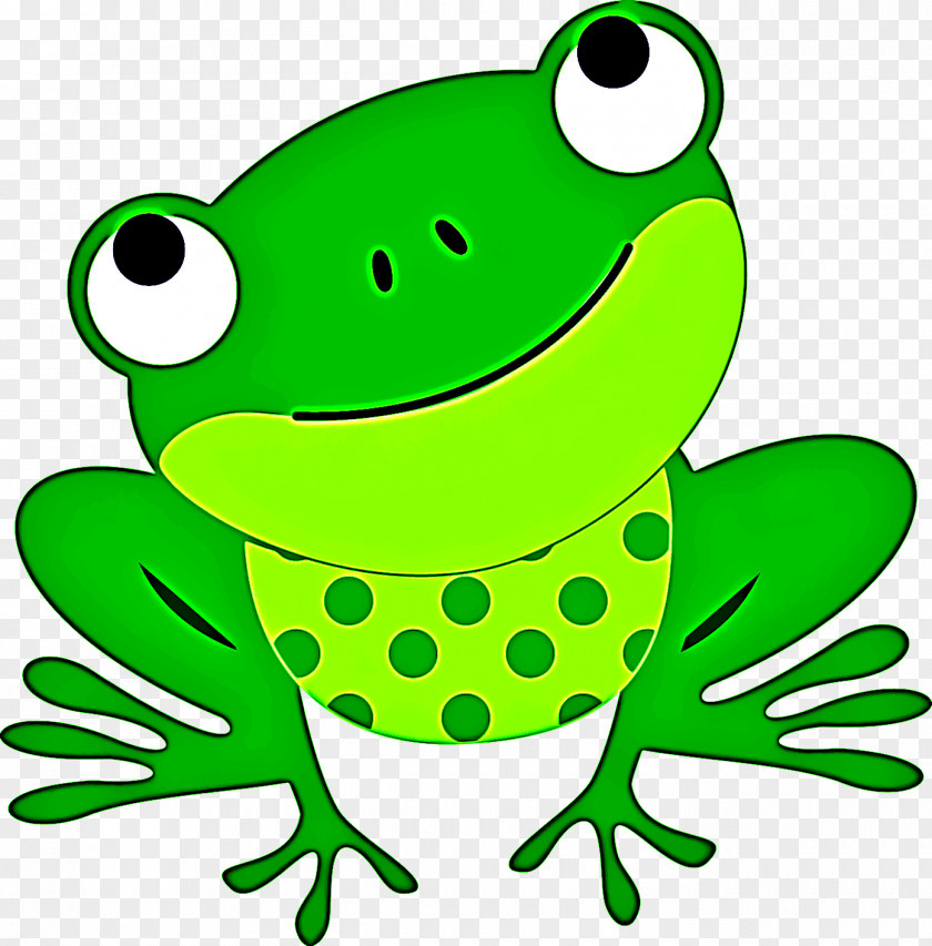 Cartoon Tree Frog Green True Agalychnis Gray Treefrog PNG