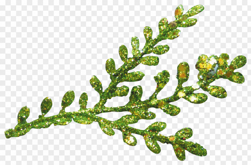 Floating Christmas Tree Leaves Branch PNG