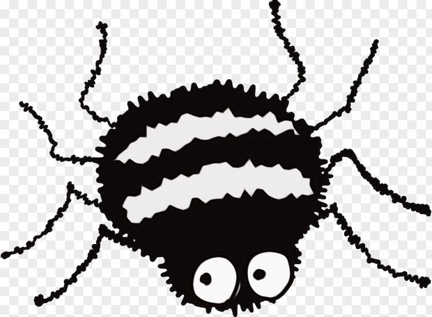 Insect Wet Ink PNG