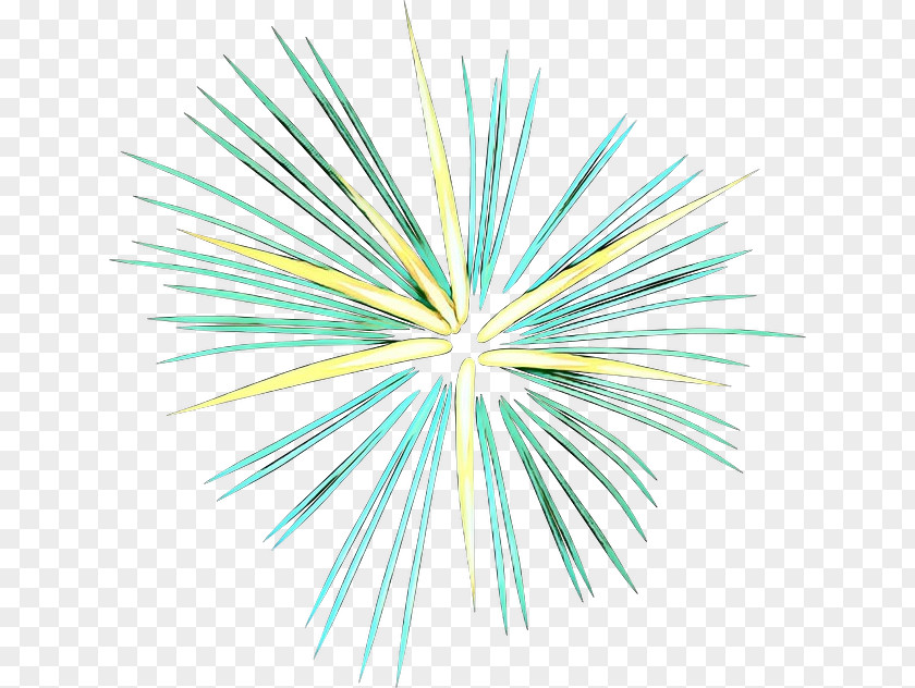 Plant Symmetry Independence Day Drawing PNG